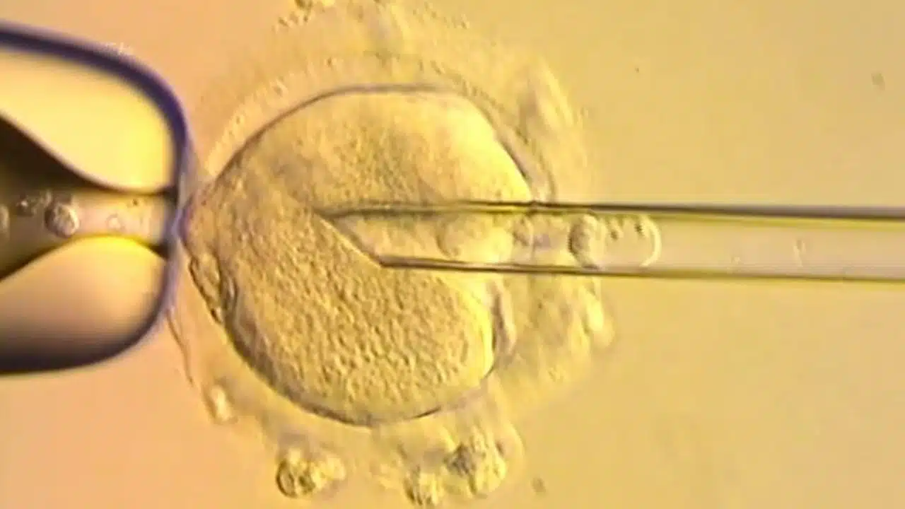 UK Welcomes Healthy Babies Born with Three-Person DNA