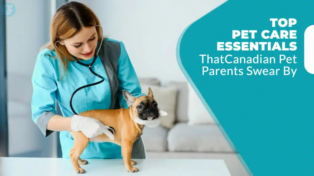 Best Pet Care Products in Canada
