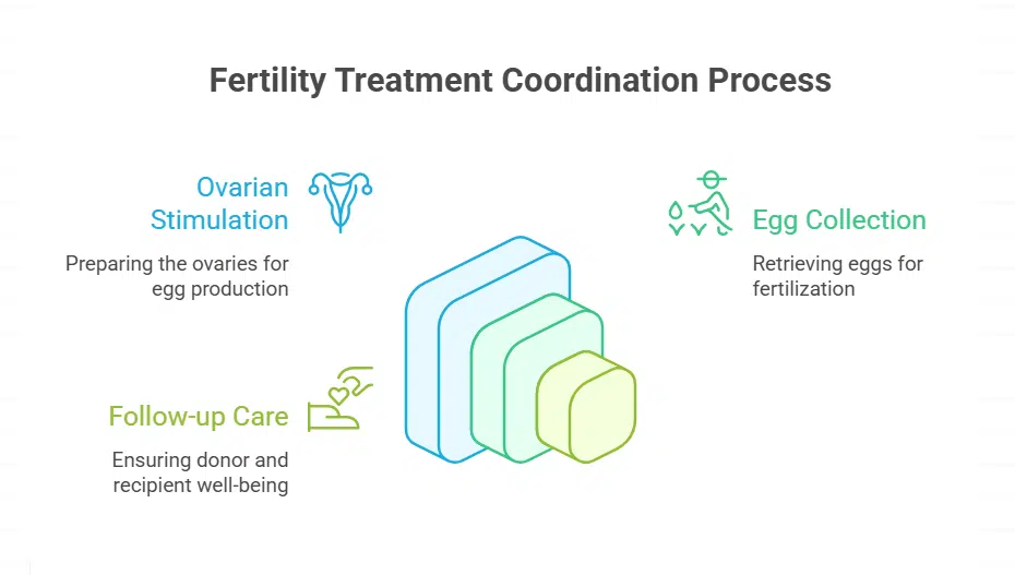 Comprehensive Medical Coordination