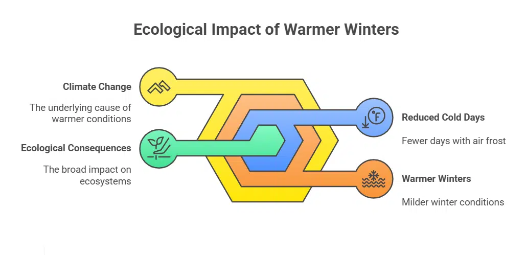 Decline in Cold Weather