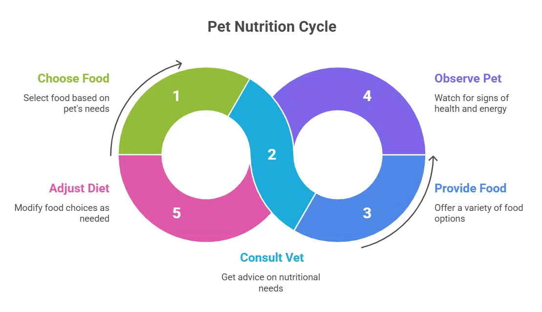 High-Quality Pet Food