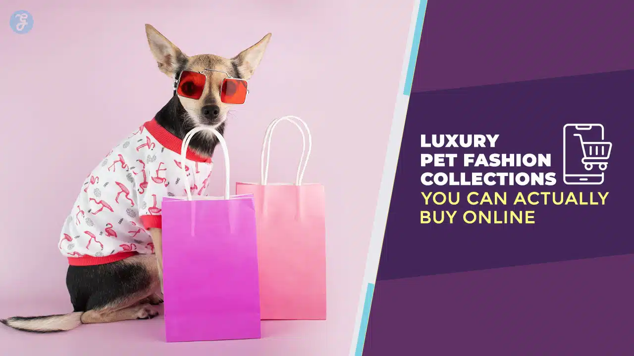 Luxury Pet Fashion Collections
