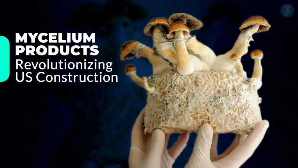 Mycelium Products Revolutionizing US Construction