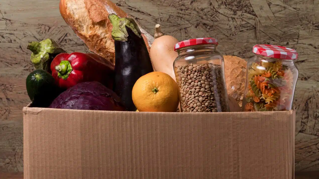 US to Germany Food Shipping