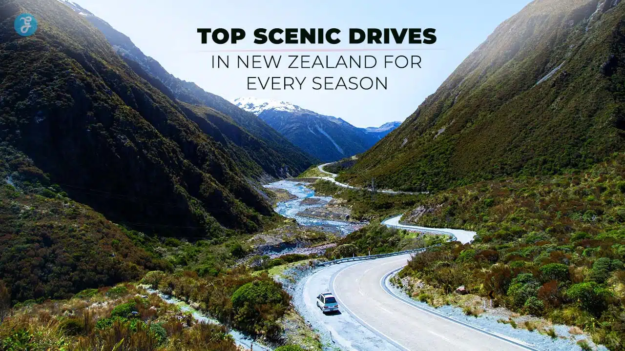 Scenic Drives In New Zealand