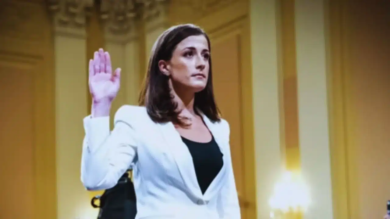 What Does Cassidy Hutchinson Do for a Living