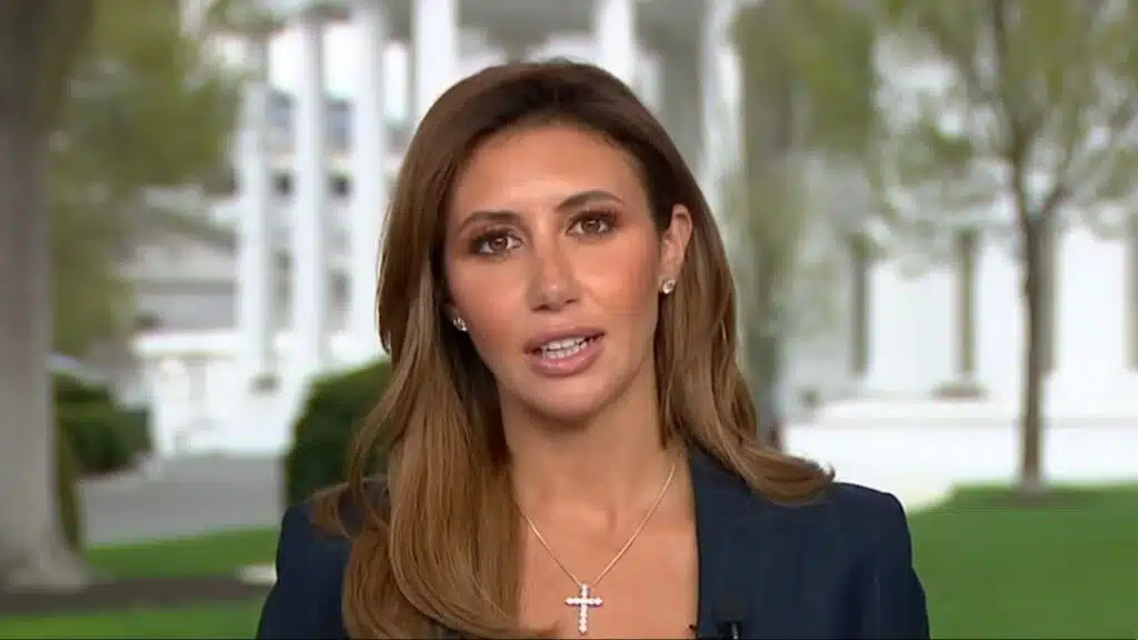 What Is Alina Habba Nationality