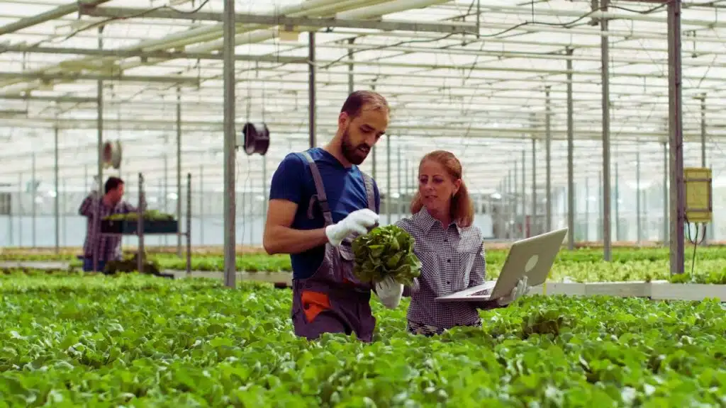 how precision agriculture is transforming farming