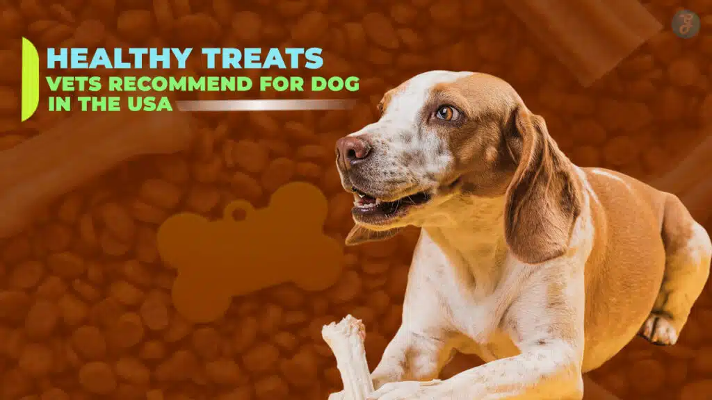 Healthy Treats Vets Recommend for Dogs in the USA
