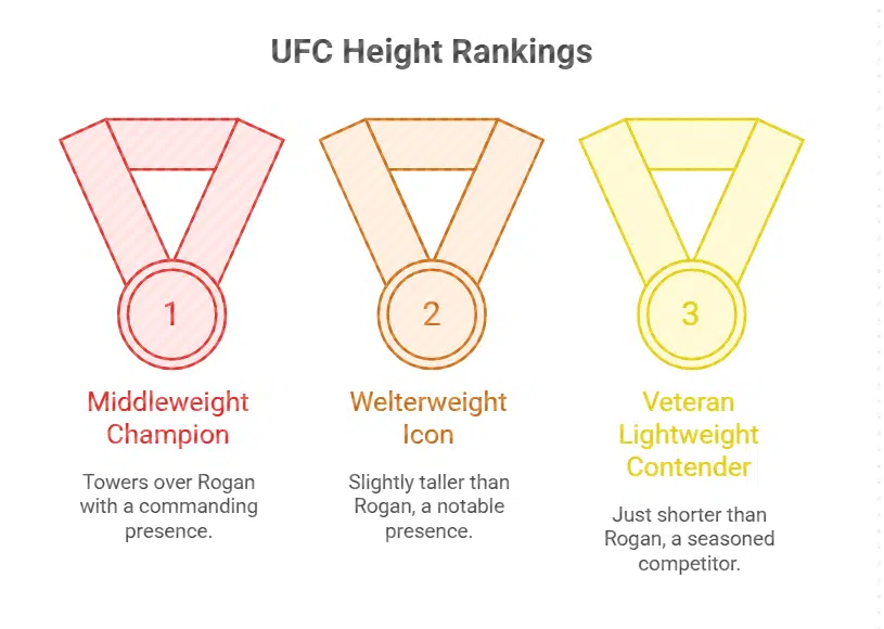 Height Comparisons with UFC Fighters