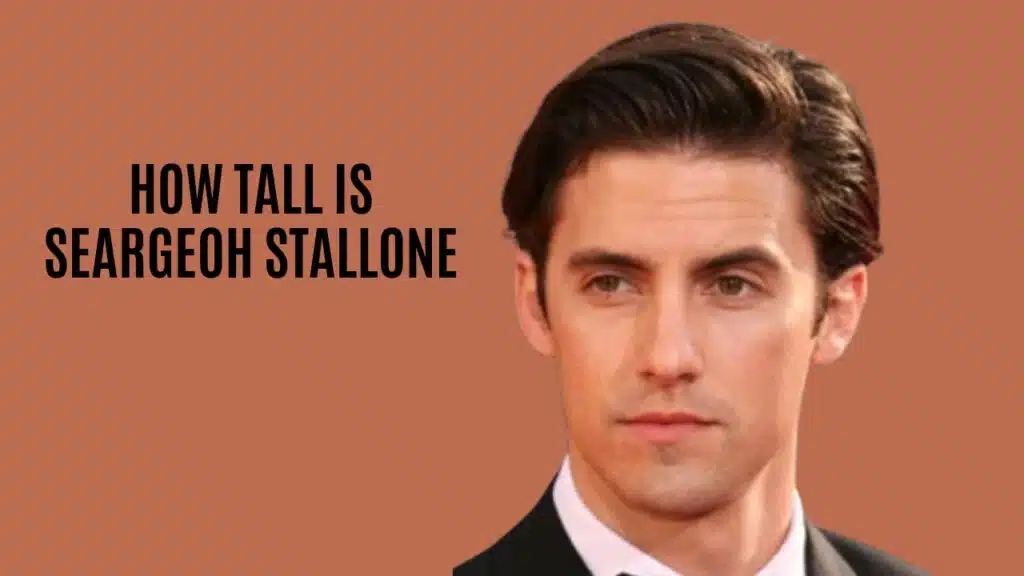 How Tall is Seargeoh Stallone