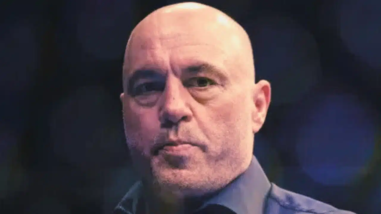 Is Joe Rogan a Trump Supporter