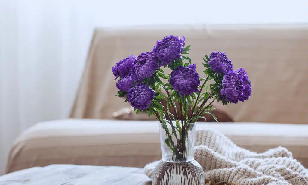 Lavender and Mauve for Calming Spaces