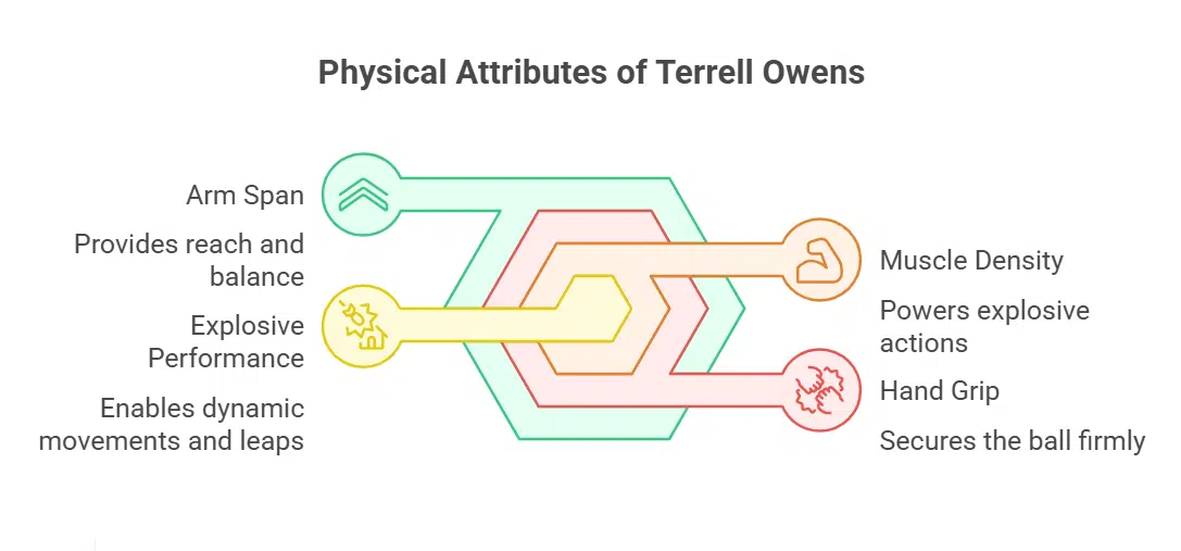 Physical Attributes of Terrell Owens