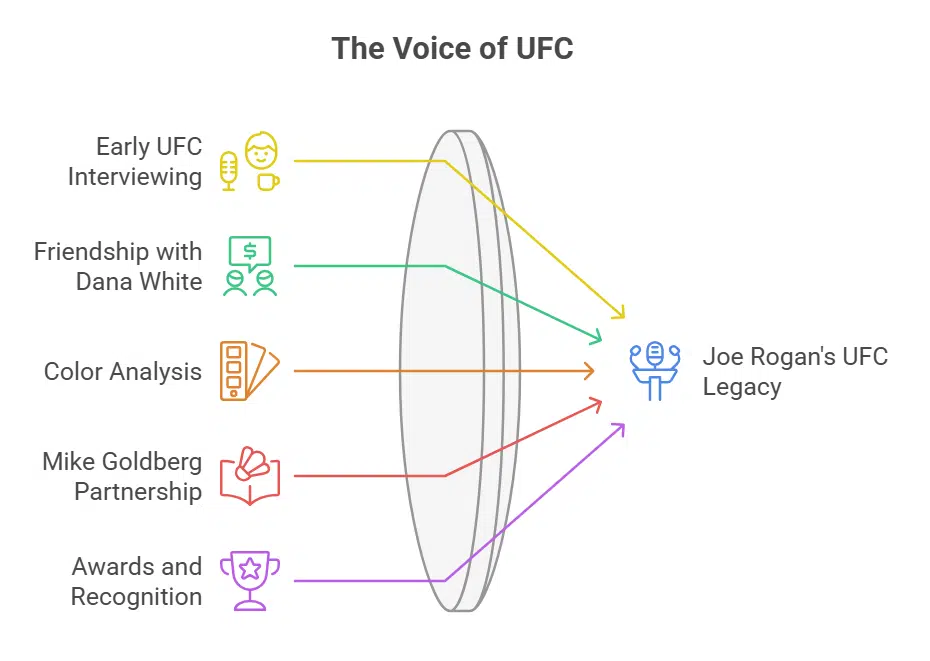 UFC Commentator Role