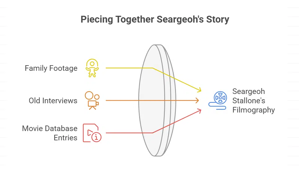 What Are Some Key Facts About Seargeoh Stallone's Career