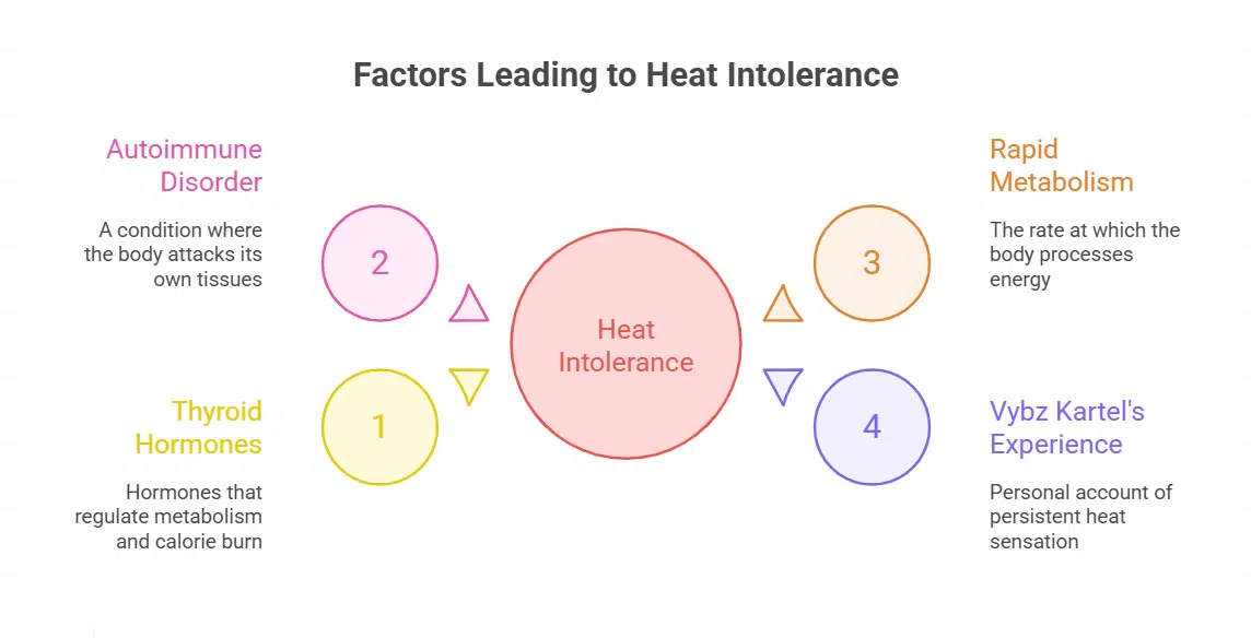 Why Do Weight Loss and Heat Intolerance Occur