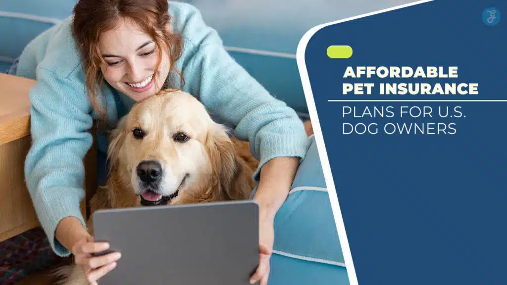 Affordable Pet Insurance