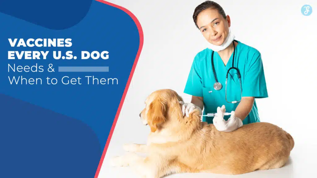 9 Vaccines Every US Dog Needs (And When to Get Them)