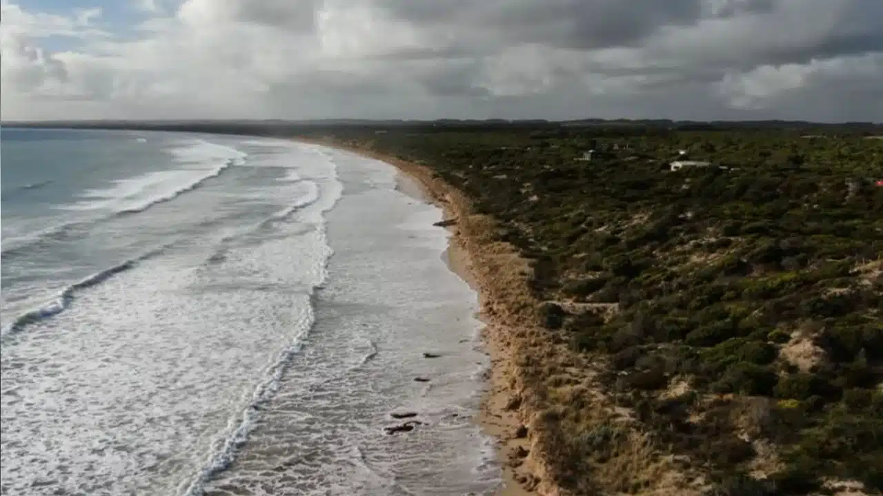 Australia Climate Risk Report 2050 Rising Seas Threaten Millions