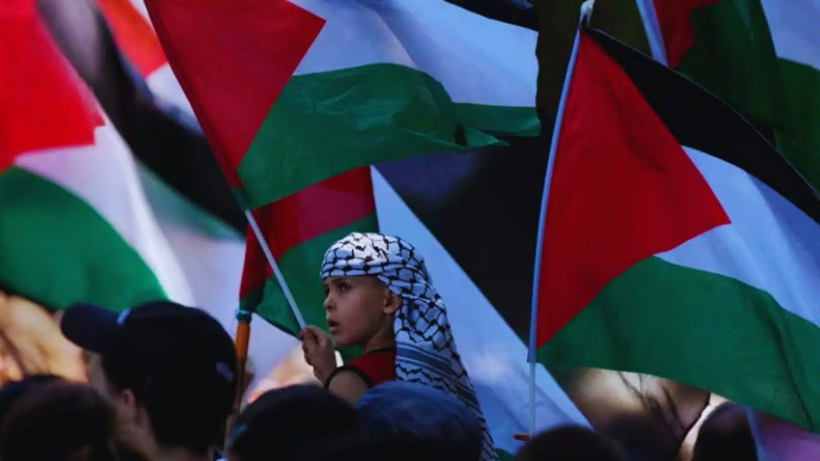 recognize Palestinian statehood