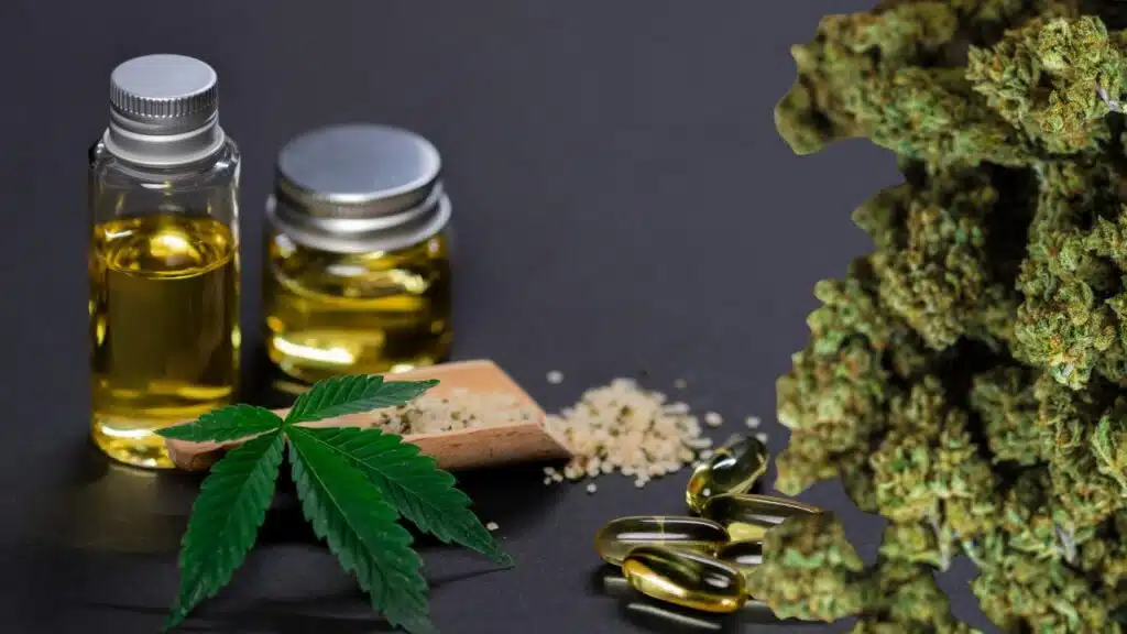 The Most Common Questions First-Time Cannabis Shoppers Ask