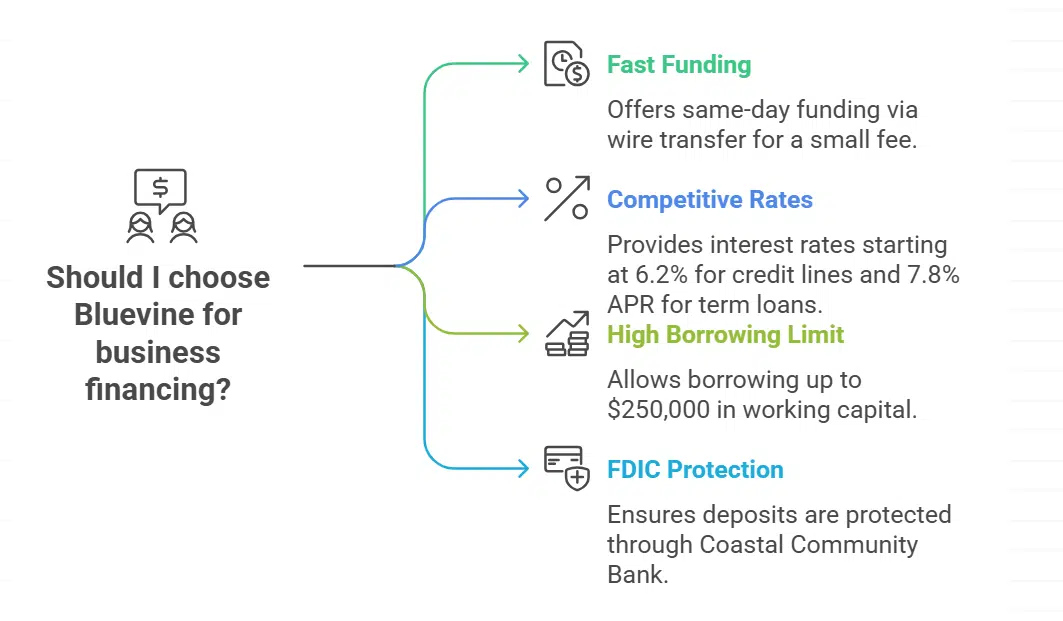 Why is Bluevine the Best Choice for Quick Access to Funds