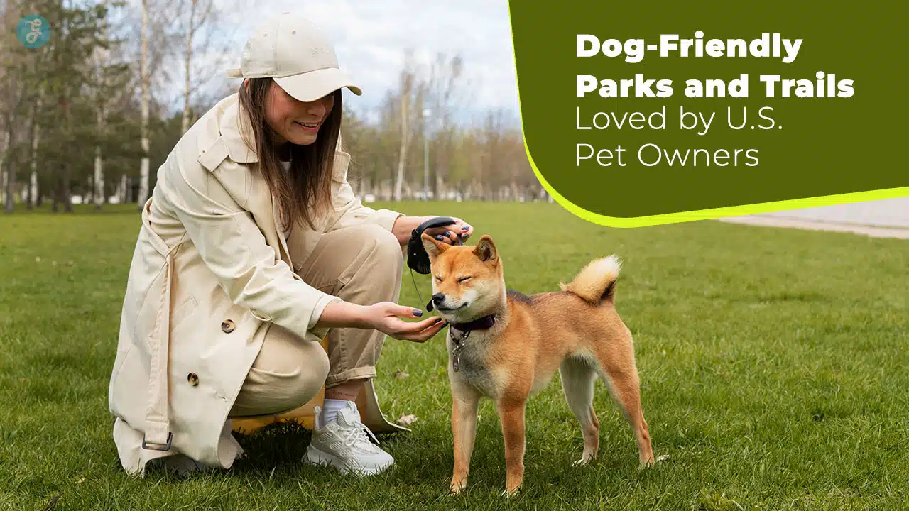 10 Dog-Friendly Parks and Trails Loved by US Pet Owners