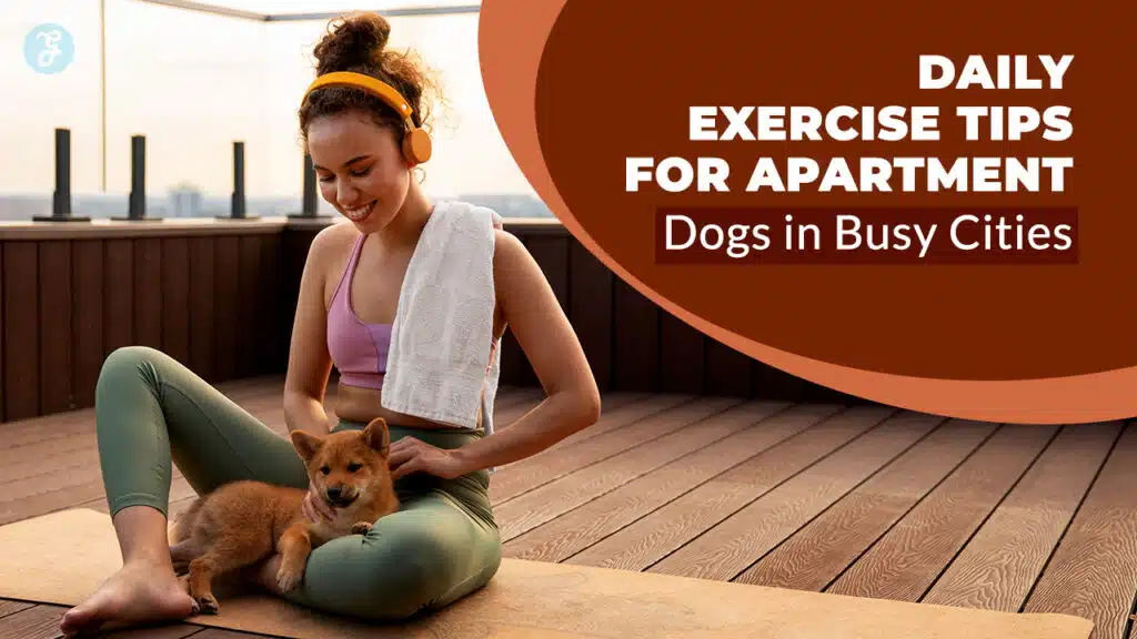 7 Daily Exercise Tips for Apartment Dogs in Busy Cities