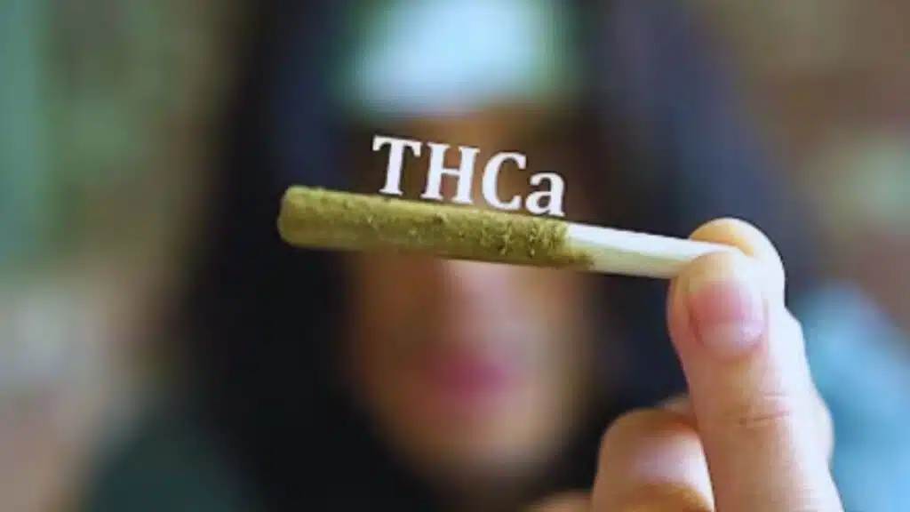 Do THCA Pre Rolls Get You High