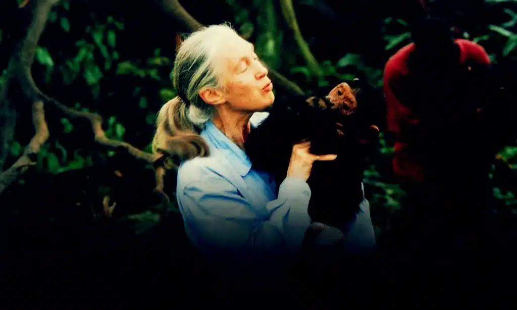 Jane Goodall Dies