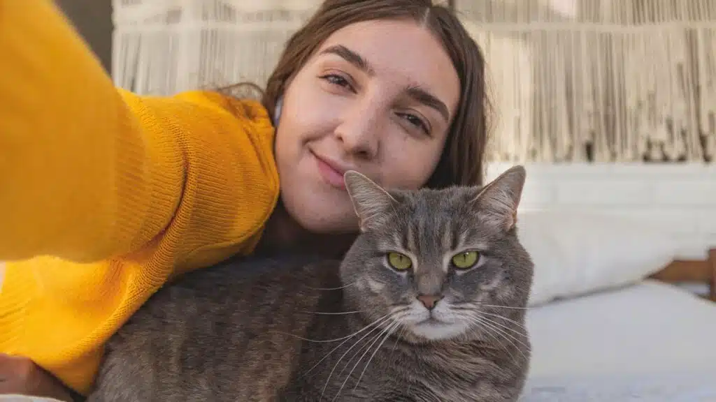 Is a Cat the Right Pet for Your Household