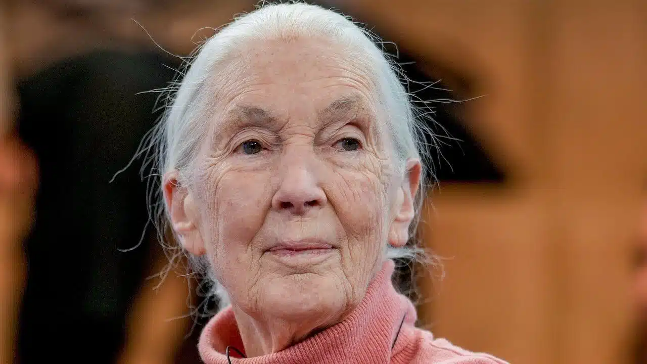Jane Goodall Dies