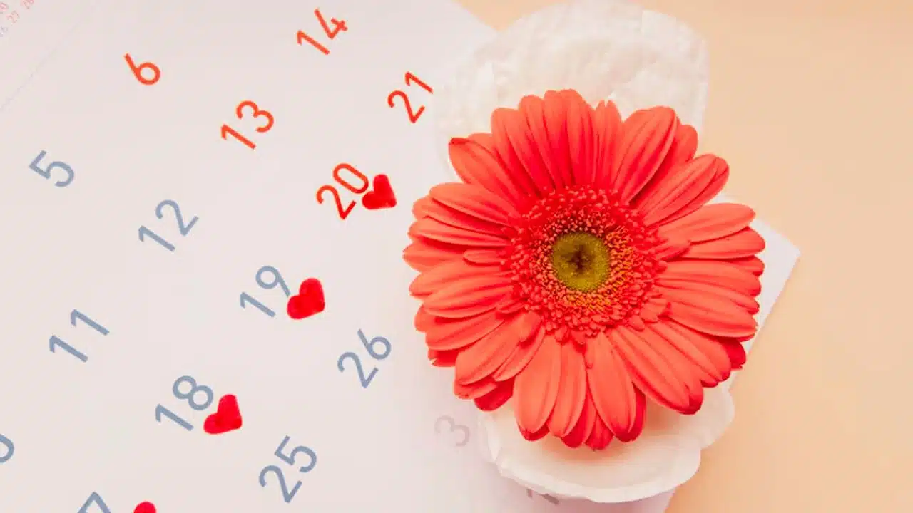 karnataka approves paid menstrual leave policy india