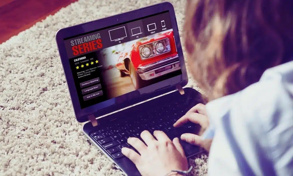 Safety Concerns Associated with Sflix.to