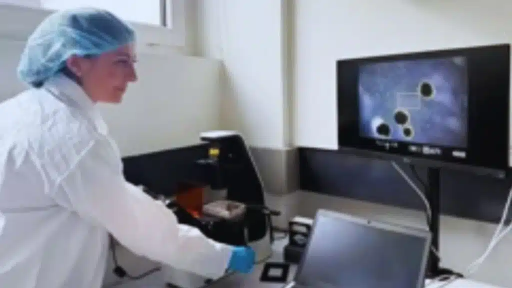 Scientists Grow Mini Human Brains to Power Computers in Labs