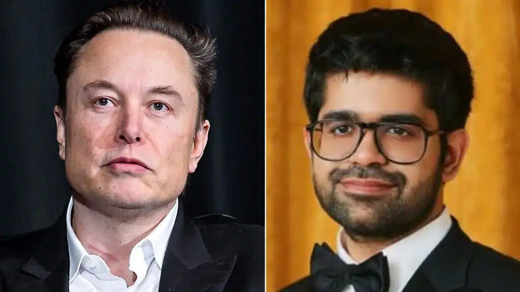 elon musk openai perplexity ai chat