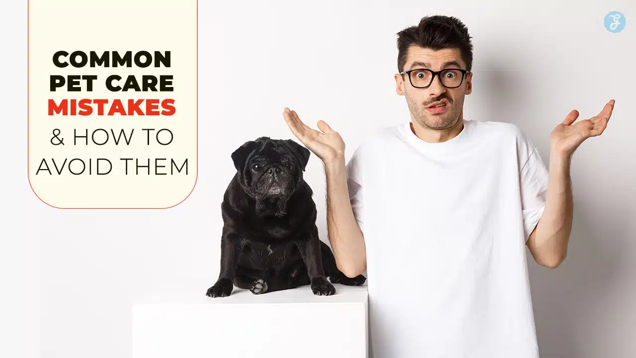 Common pet care mistakes