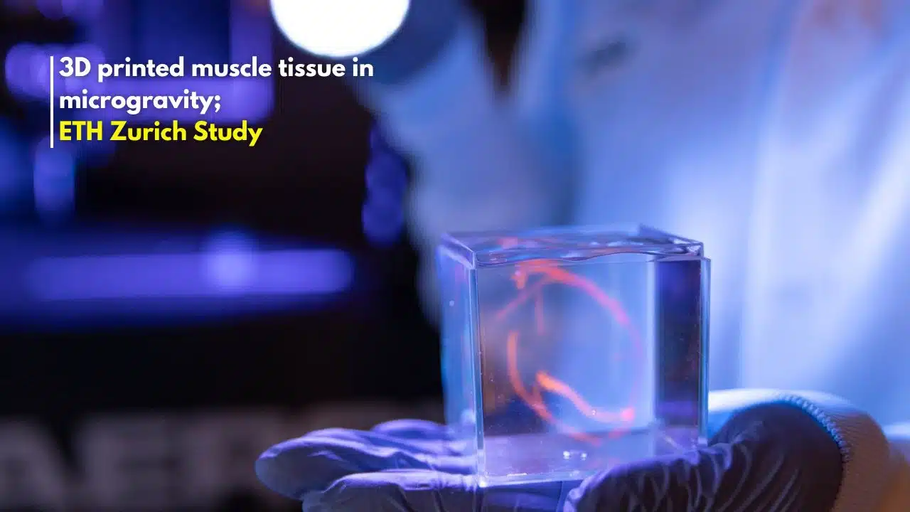 3D printed muscle tissue in microgravity