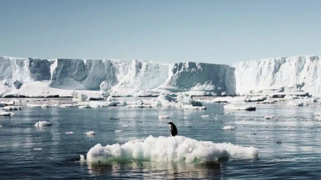 Antarctic ice melt sea level rise 2200