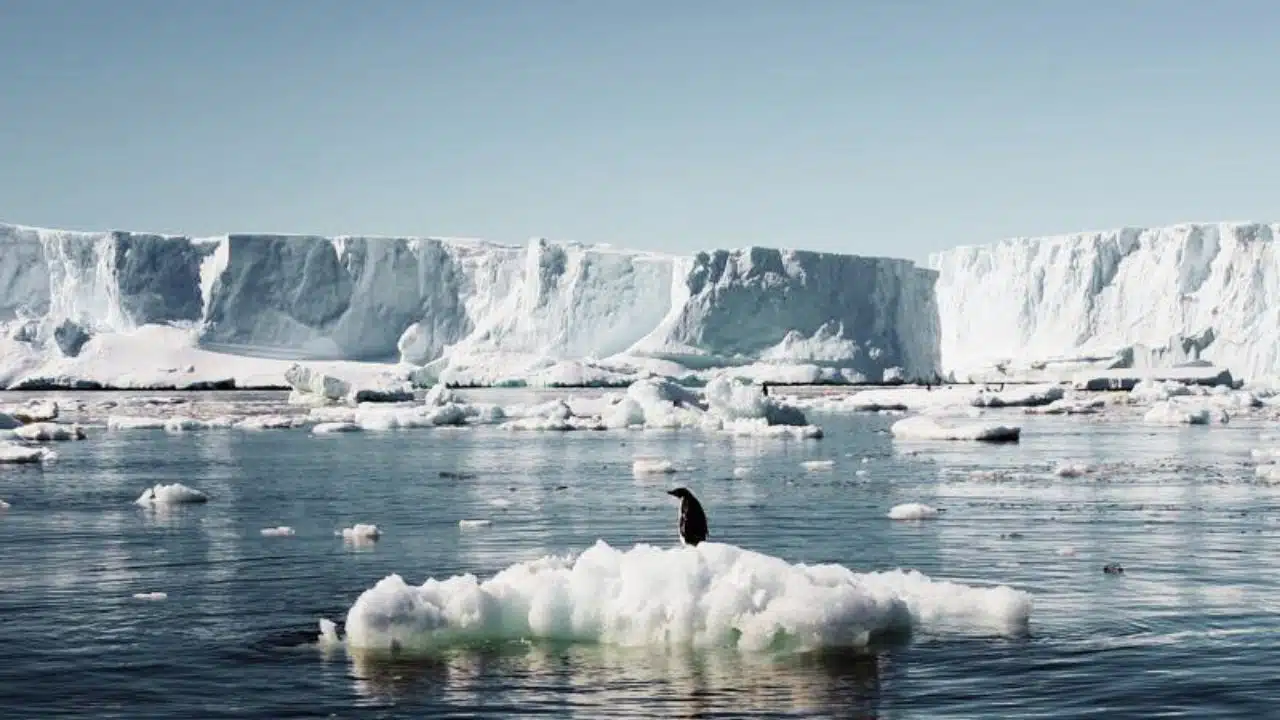 Antarctic ice melt sea level rise 2200