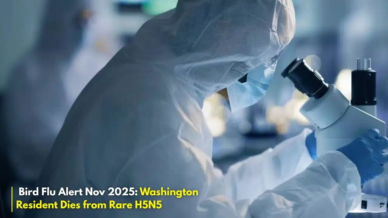 Washington avian influenza death