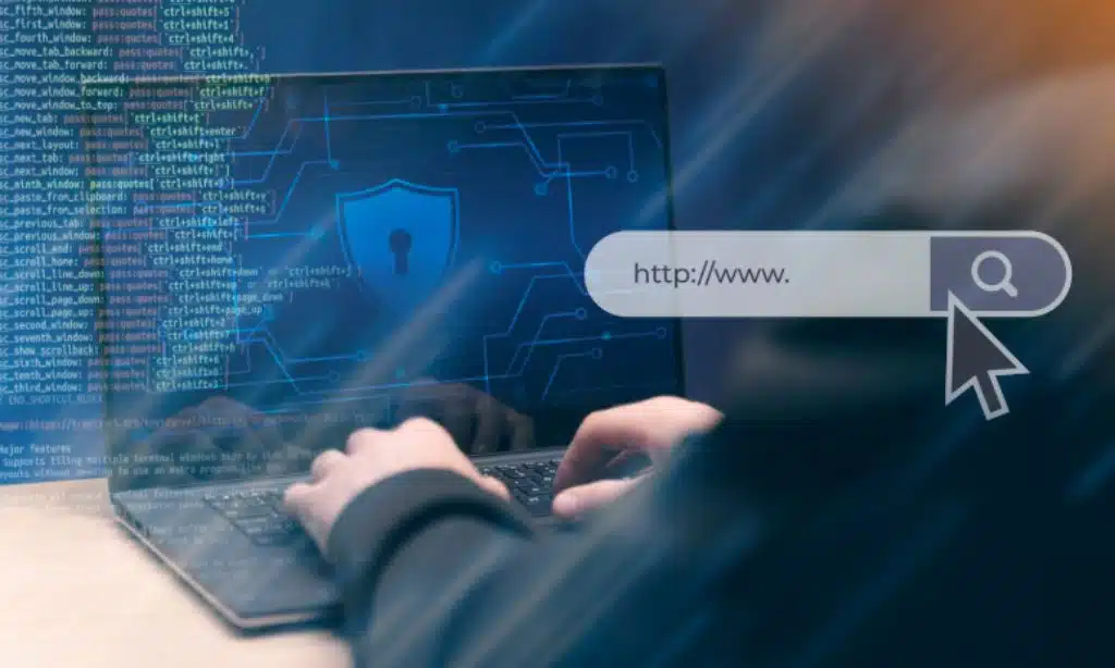 What is domain privacy protection and how do I enable it