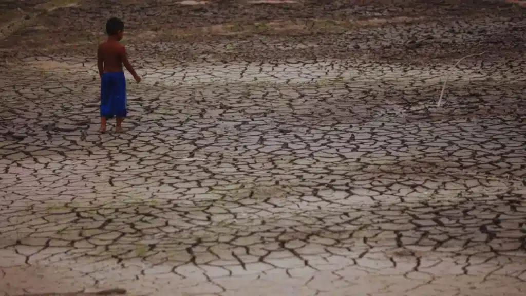 amazon rainforest 150 drought days 2100