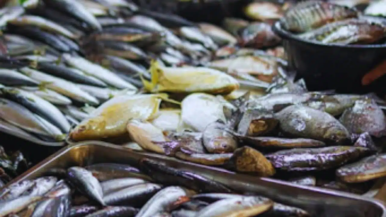 Healthy Indian Fish Varieties Every Parent Should Know