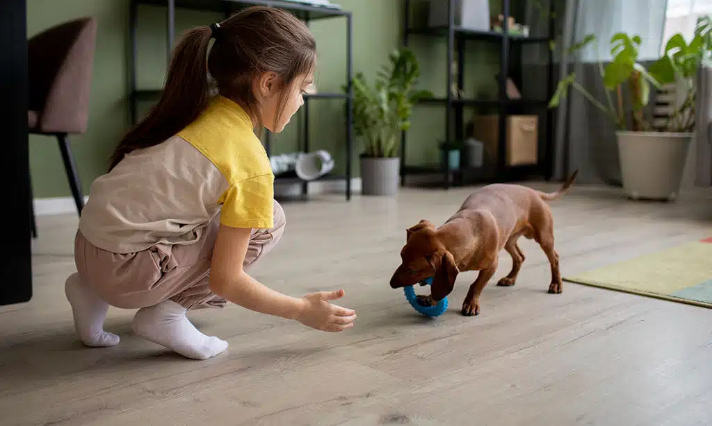 Best Pet Friendly Flooring