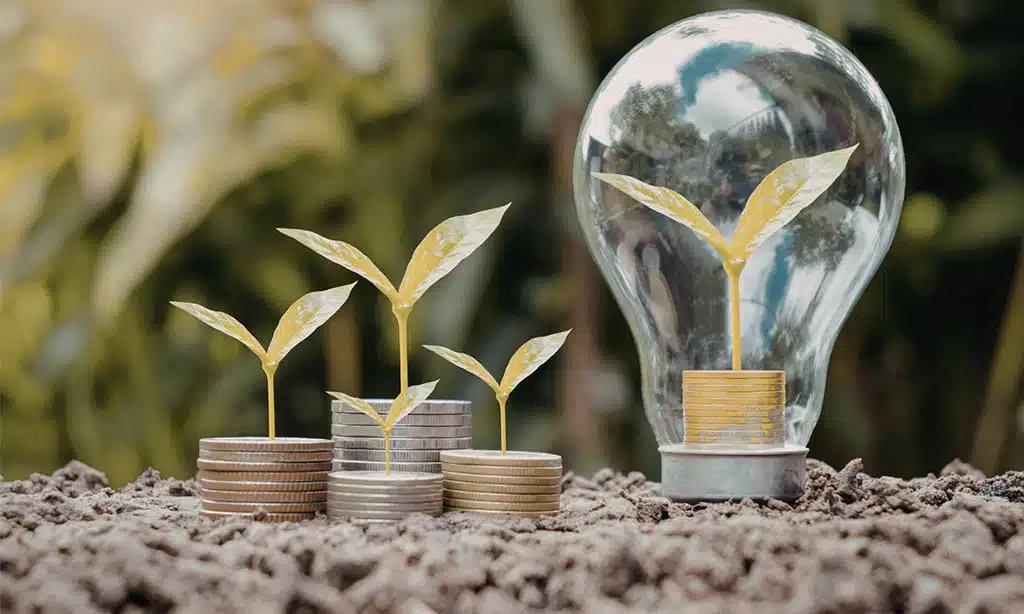 Investment in Energy