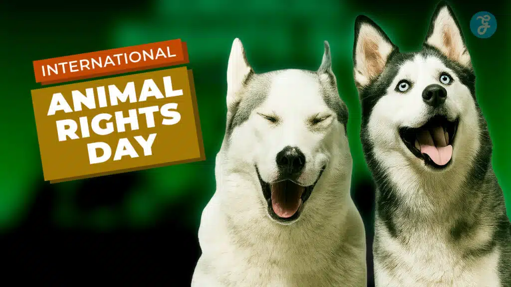 International Animal Rights Day