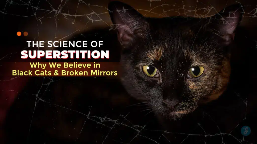 The Science of Superstition Why We Believe in Black Cats and Broken Mirrors