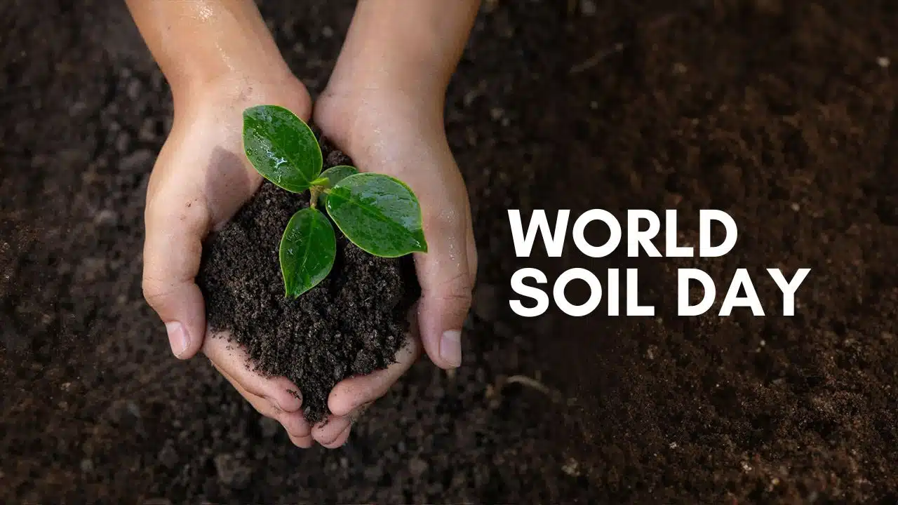 World Soil Day